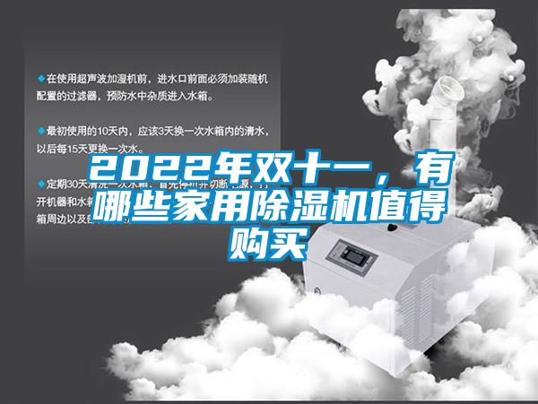 2022年雙十一，有哪些家用除濕機值得購買