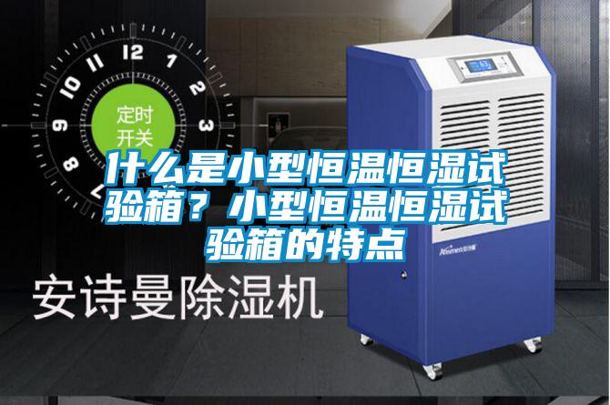 什么是小型恒溫恒濕試驗箱？小型恒溫恒濕試驗箱的特點