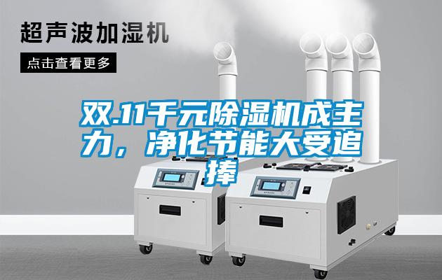 雙.11千元除濕機(jī)成主力，凈化節(jié)能大受追捧