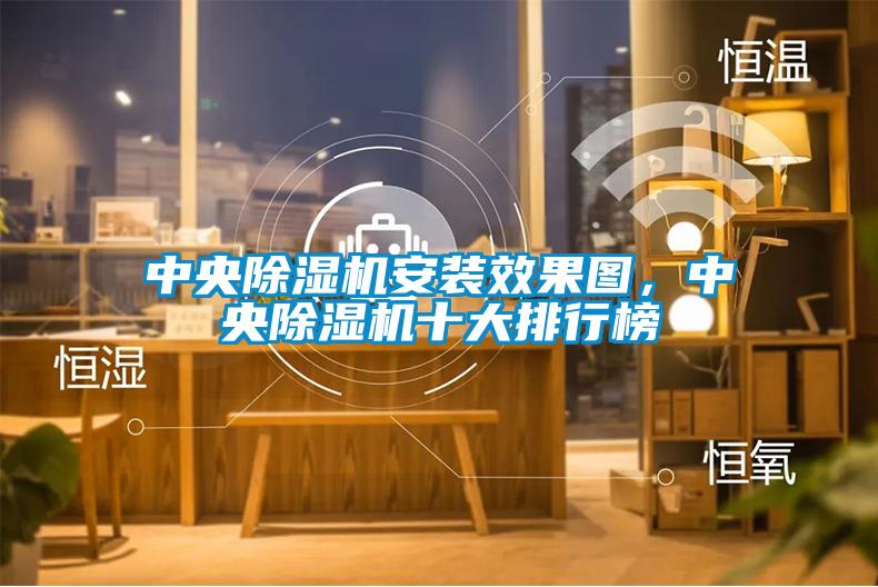 中央除濕機(jī)安裝效果圖,中央除濕機(jī)十大排行榜