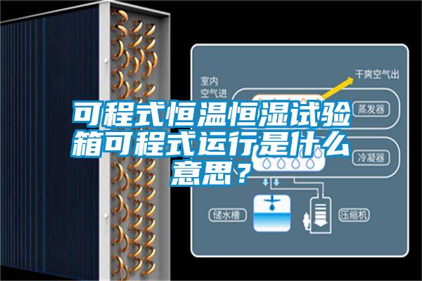 可程式恒溫恒濕試驗箱可程式運行是什么意思？