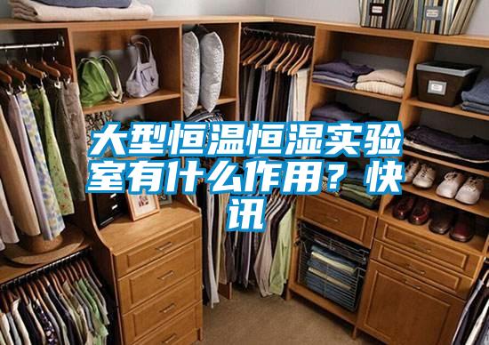 大型恒溫恒濕實(shí)驗(yàn)室有什么作用？快訊