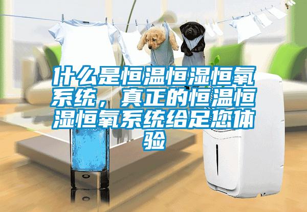 什么是恒溫恒濕恒氧系統，真正的恒溫恒濕恒氧系統給足您體驗