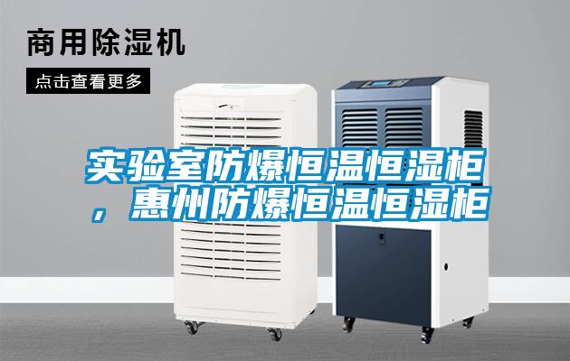 實(shí)驗(yàn)室防爆恒溫恒濕柜，惠州防爆恒溫恒濕柜