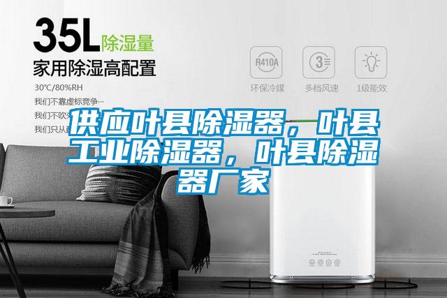 供應葉縣除濕器，葉縣工業(yè)除濕器，葉縣除濕器廠家
