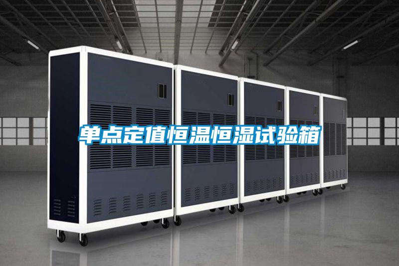 單點(diǎn)定值恒溫恒濕試驗(yàn)箱