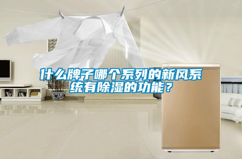 什么牌子哪個系列的新風系統有除濕的功能？