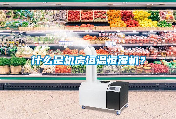 什么是機房恒溫恒濕機？