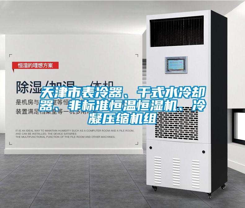 天津市表冷器、干式水冷卻器、非標準恒溫恒濕機、冷凝壓縮機組