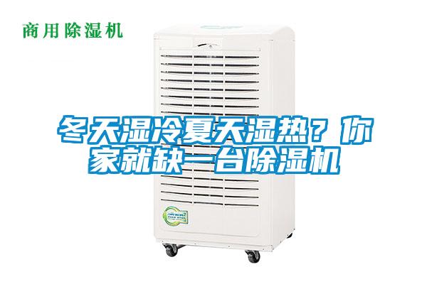 冬天濕冷夏天濕熱？你家就缺一臺除濕機