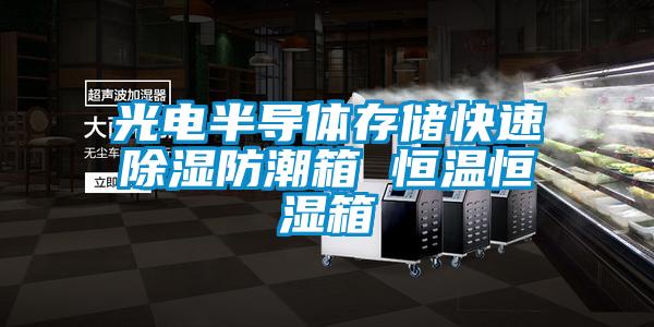 光電半導(dǎo)體存儲(chǔ)快速除濕防潮箱 恒溫恒濕箱