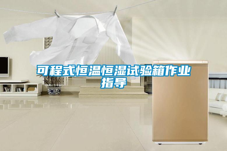 可程式恒溫恒濕試驗箱作業(yè)指導