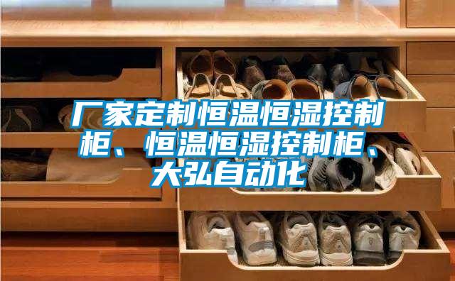 廠家定制恒溫恒濕控制柜、恒溫恒濕控制柜、大弘自動化