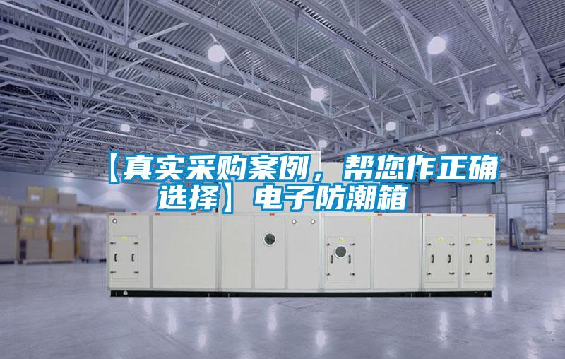 【真實(shí)采購(gòu)案例,幫您作正確選擇】電子防潮箱