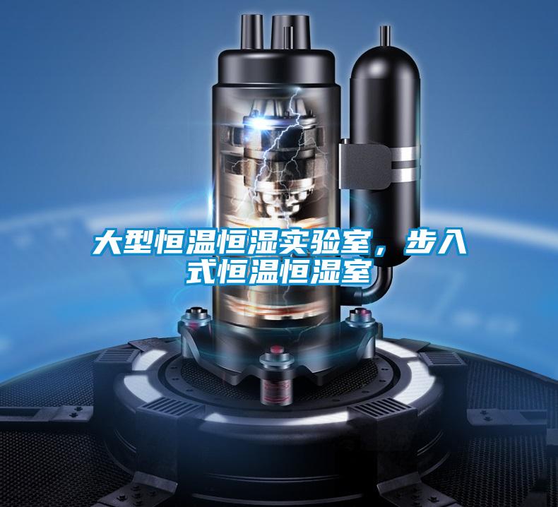大型恒溫恒濕實(shí)驗(yàn)室，步入式恒溫恒濕室
