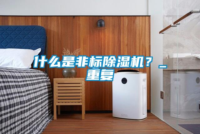 什么是非標(biāo)除濕機？_重復(fù)
