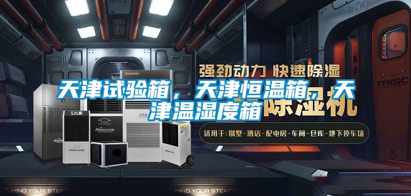 天津試驗(yàn)箱，天津恒溫箱，天津溫濕度箱