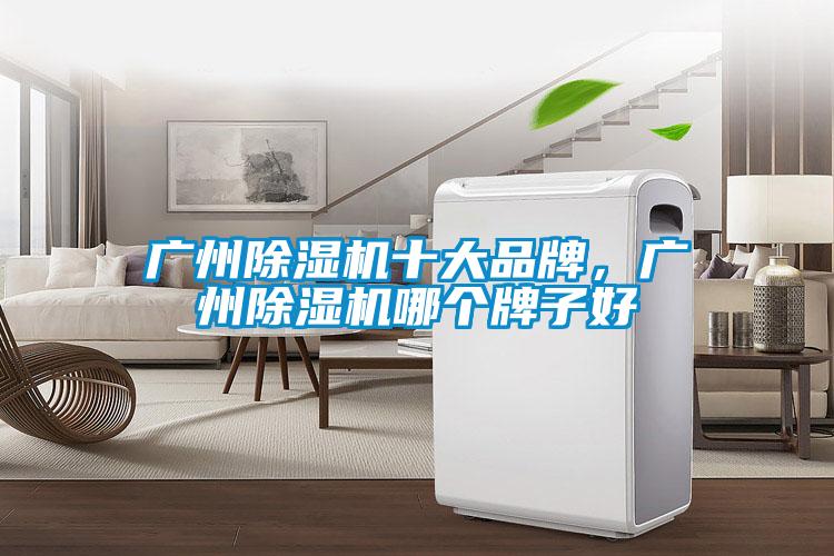 廣州除濕機十大品牌，廣州除濕機哪個牌子好