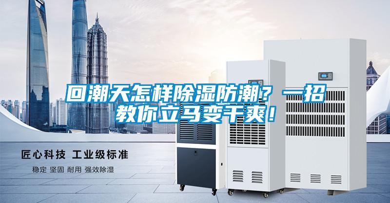 回潮天怎樣除濕防潮?一招教你立馬變干爽!