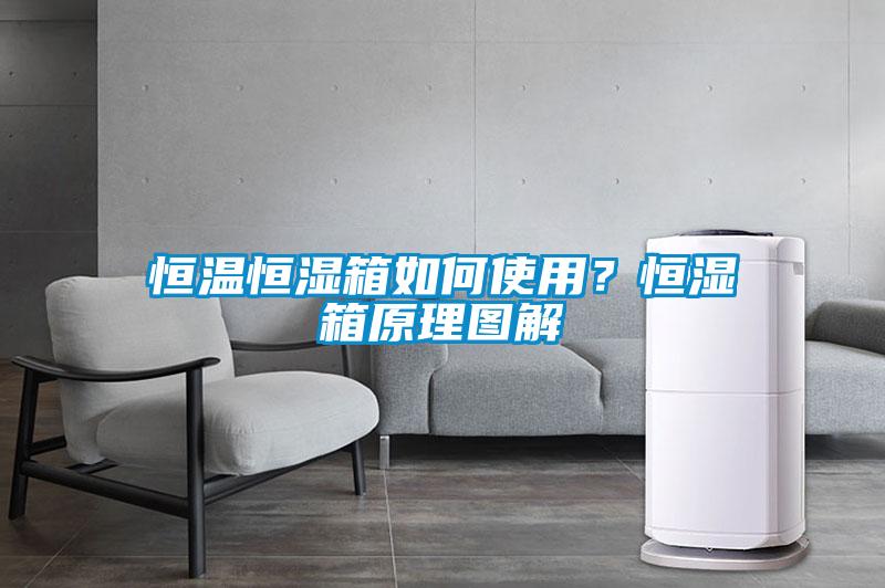 恒溫恒濕箱如何使用？恒濕箱原理圖解