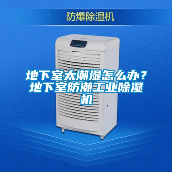 地下室太潮濕怎么辦？地下室防潮工業除濕機