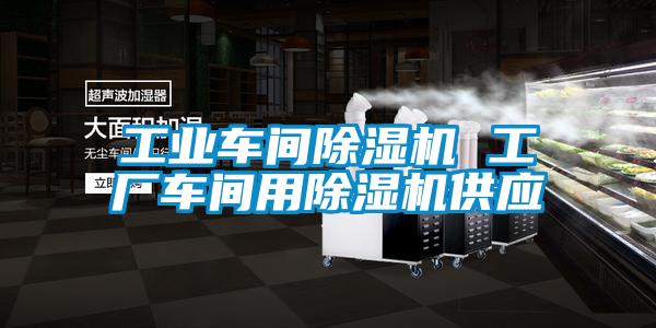 工業(yè)車(chē)間除濕機(jī) 工廠車(chē)間用除濕機(jī)供應(yīng)