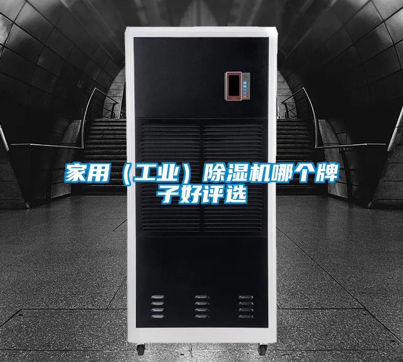 家用(工業(yè))除濕機(jī)哪個(gè)牌子好評(píng)選