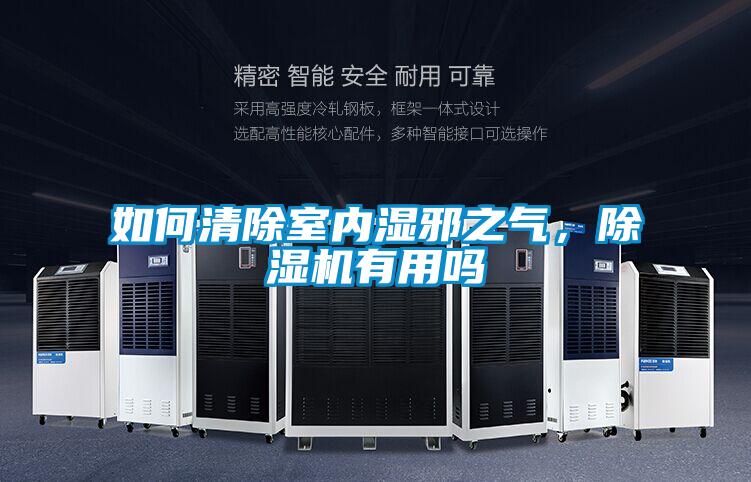 如何清除室內(nèi)濕邪之氣，除濕機(jī)有用嗎