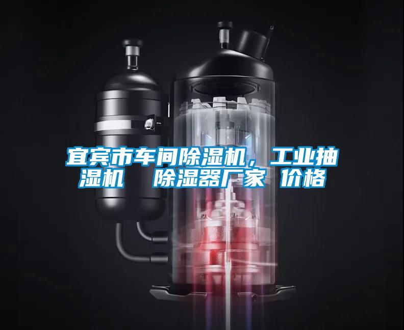 宜賓市車間除濕機，工業抽濕機  除濕器廠家 價格