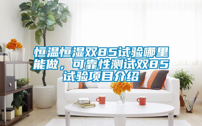 恒溫恒濕雙85試驗哪里能做，可靠性測試雙85試驗項目介紹