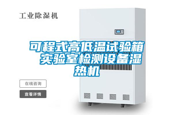 可程式高低溫試驗箱 實驗室檢測設(shè)備濕熱機(jī)
