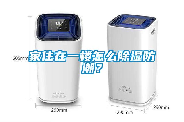 家住在一樓怎么除濕防潮？
