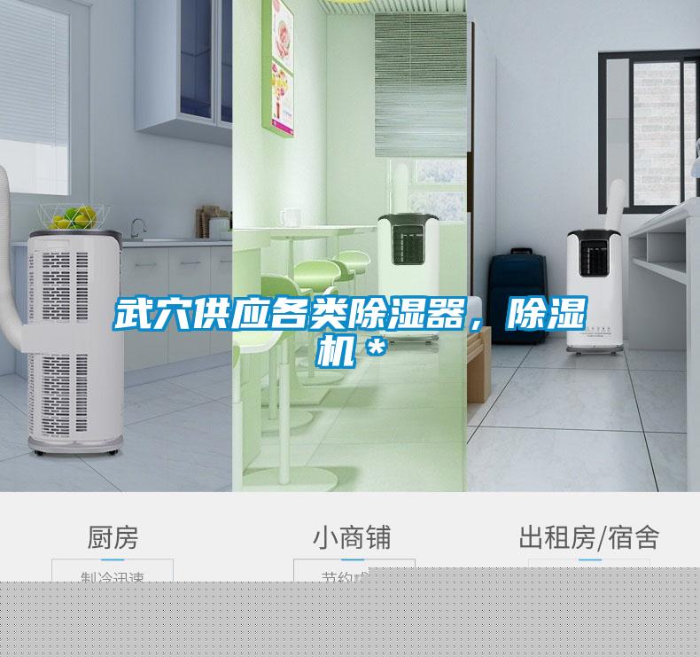 武穴供應各類除濕器,除濕機*