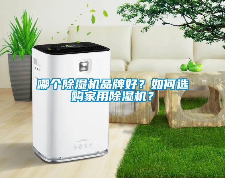 哪個(gè)除濕機(jī)品牌好？如何選購(gòu)家用除濕機(jī)？