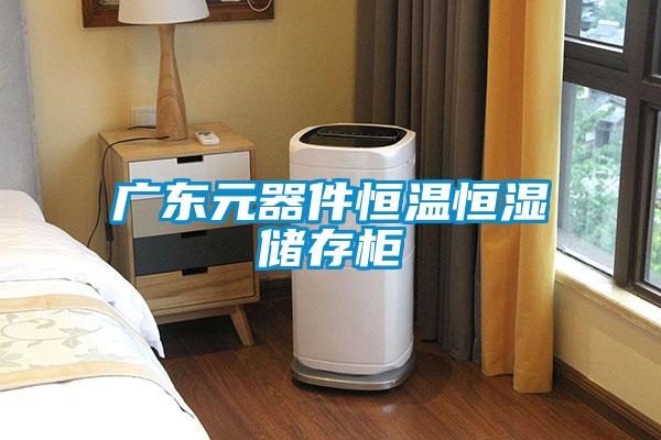 廣東元器件恒溫恒濕儲(chǔ)存柜