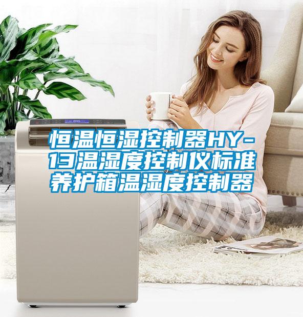 恒溫恒濕控制器HY-13溫濕度控制儀標準養(yǎng)護箱溫濕度控制器