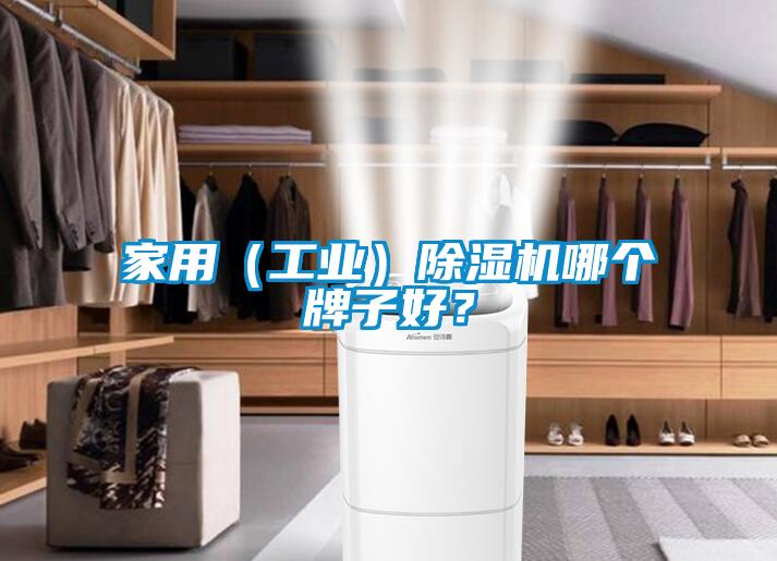 家用（工業）除濕機哪個牌子好？