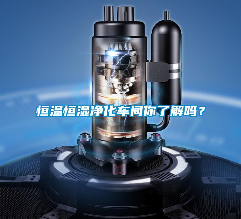 恒溫恒濕凈化車間你了解嗎？