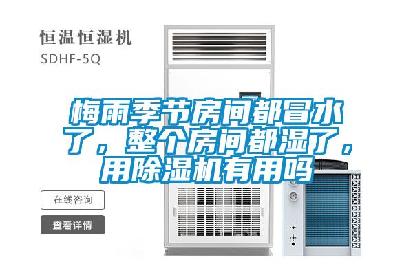 梅雨季節(jié)房間都冒水了,整個房間都濕了,用除濕機有用嗎