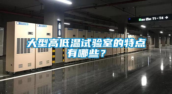 大型高低溫試驗(yàn)室的特點(diǎn)有哪些？