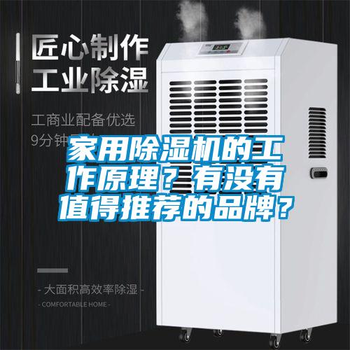 家用除濕機的工作原理?有沒有值得推薦的品牌?