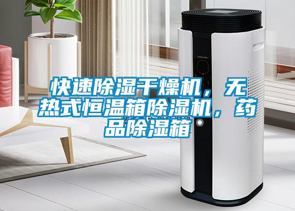 快速除濕干燥機(jī)，無熱式恒溫箱除濕機(jī)，藥品除濕箱