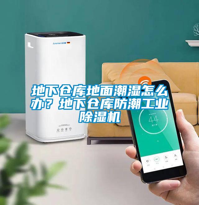 地下倉庫地面潮濕怎么辦？地下倉庫防潮工業(yè)除濕機