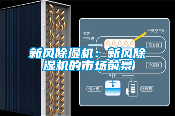 新風(fēng)除濕機(jī)：新風(fēng)除濕機(jī)的市場(chǎng)前景