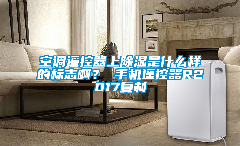 空調(diào)遙控器上除濕是什么樣的標(biāo)志??？ 手機(jī)遙控器R2017復(fù)制