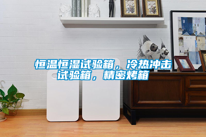 恒溫恒濕試驗箱，冷熱沖擊試驗箱，精密烤箱