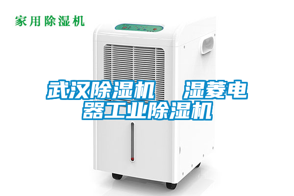 武漢除濕機 濕菱電器工業(yè)除濕機