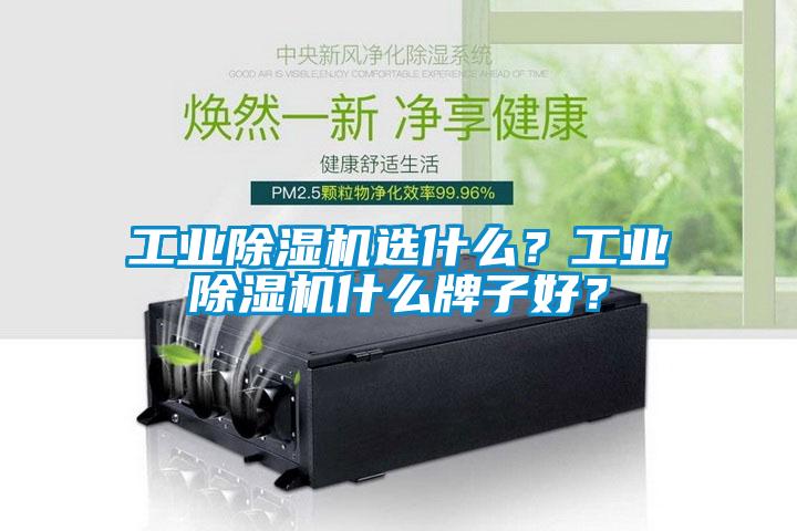 工業(yè)除濕機(jī)選什么？工業(yè)除濕機(jī)什么牌子好？