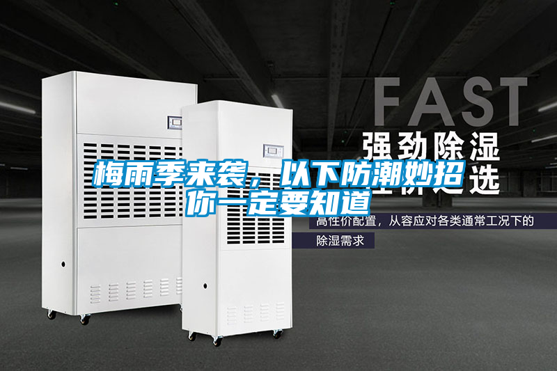 梅雨季來襲,以下防潮妙招你一定要知道