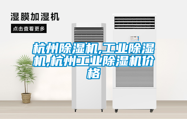 杭州除濕機(jī),工業(yè)除濕機(jī),杭州工業(yè)除濕機(jī)價格